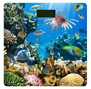 Весы напольные электронные MAX-287 с рисунком "Подводный мир", 28х28 MAXTRONIC