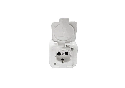 Розетка с/з с крышкой белый Минск ОП (РА16-214) IP54