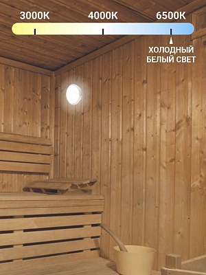 Светильник стационарный светодиодный влагозащищенный круг (VDR-65-20-6500 ), 6500К, 2000Лм, IP65, до100°С, (220*68мм) VKL electric