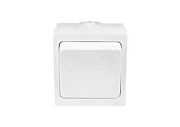 Выключатель 1кл. белый Минск ОП (А14-100) IP54
