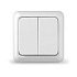 Выключатель 2кл. белый ОП 10А, 220В Олимп  (О0023)