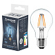 Лампа светодиодная 15W E27 А60 FLM 6500K 220V филамент прозрачный ( PREMIUM FLM-A60-15W-E27-WW) Включай